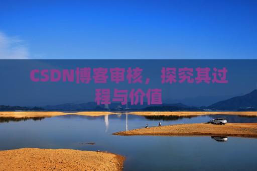 CSDN博客审核，探究其过程与价值
